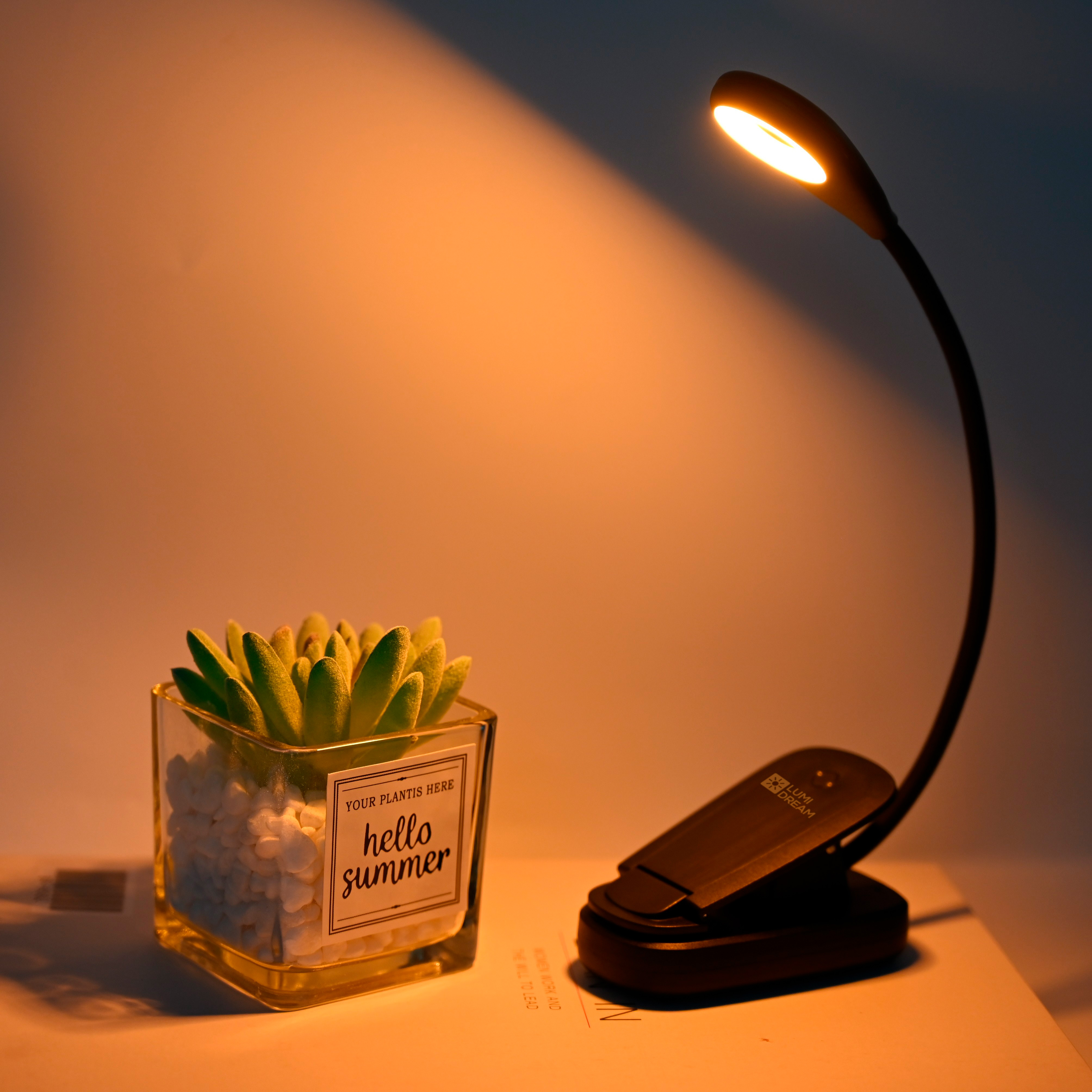 LumiDream Flexi